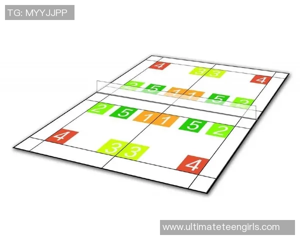 深入分析北京羽毛球队的节奏打法与战术特点探秘